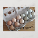 Recherche de cultivateur cartes postales Vert