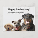 Recherche de kids animal vœux cartes Toute personne