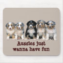 Recherche de chien berger australien tapis souris Chiot