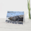 Recherche de bébé phoque vœux cartes Faune