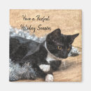 Recherche de tuxedo magnets Félin