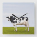 Recherche de finances horloges Richesse