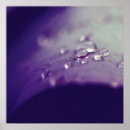 Recherche de art sensuel posters Photographie