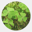 Recherche de les clés autocollants Nature