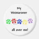Recherche de weimaraner magnete Fantôme gris