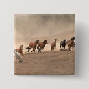 Recherche de galop badges Pays