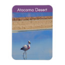 Recherche de amérique du sud magnets Chicane