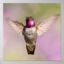 Recherche de beautiful pink rose art Colibri
