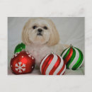 Recherche de shih tzu christmas vœux cartes Animaux domestiques