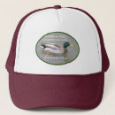 Recherche de canard casquettes Sauvagine
