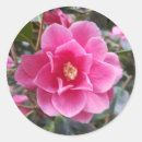 Recherche de camelia autocollants Camélia