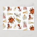Recherche de poulpe vintage cartes postales Céphalopode