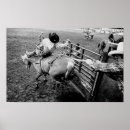 Recherche de rider posters Bronc