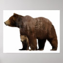 Recherche de animal de bébé posters Ourson