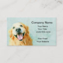 Recherche de sourires cartes visite Toute personne