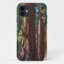 Recherche de sierra électronique Californie