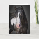 Recherche de portrait de cheval vœux cartes Portraits