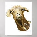 Recherche de chèvre drôle posters Animal de ferme