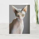 Recherche de chat sphinx vœux cartes Félin