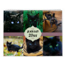 Recherche de chat noir calendriers Amoureux des chats
