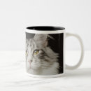 Recherche de tête de chat tasses Animal