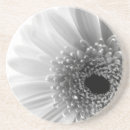Recherche de gerbera dessous de verres Floral