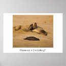Recherche de joints de posters Plage