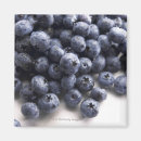 Recherche de nourriture magnets Photographie