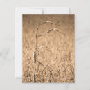 Recherche de campagnes cartes postales Vacances