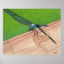 Recherche de peinture libellule posters Faune