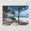 Recherche de anguilla cartes postales Sable