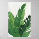Recherche de plante verte posters Tropical