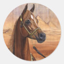 Recherche de mare autocollants Arabe