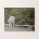 Recherche de yellowstone puzzles Loup