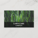 Recherche de pelouse et jardin cartes visite Cour