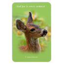 Recherche de animaux de forêt magnets Cerf