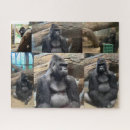 Recherche de gorilla puzzles Primate