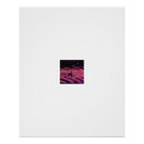 Recherche de cygne noir posters Eau