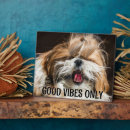 Recherche de shih plaques Amoureux des chiens