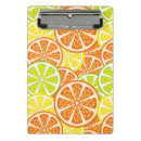 Recherche de agrume porte blocs Résumé