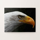 Recherche de aigle noir puzzles Blanc