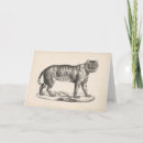 Recherche de tiger cartes postales Dessin animal