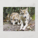 Recherche de reposant posters Gris