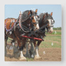 Recherche de agriculture horloges Cheval