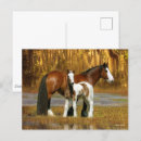 Recherche de gypsy cartes postales Animal