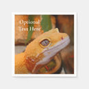 Recherche de geckos serviettes Désert