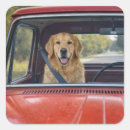 Recherche de animaux comiques autocollants Toute personne