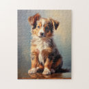 Recherche de chiens de berger australiens puzzles Berger australien miniature