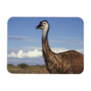 Recherche de australie occidentale magnets Faune