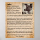 Recherche de laika posters Espace